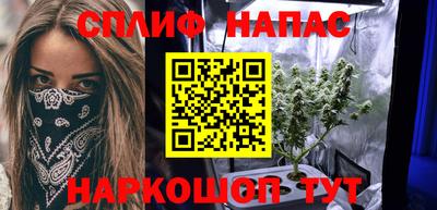 сатива Будённовск