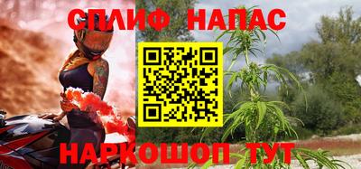 сатива Будённовск