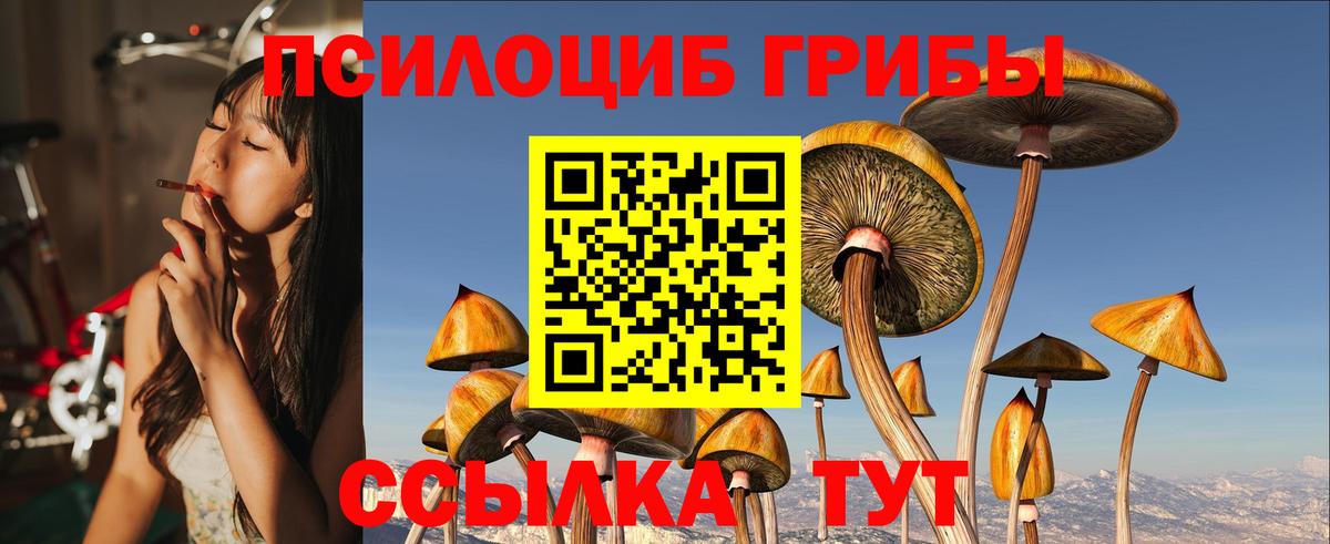 Галлюциногенные грибы Psilocybine cubensis Шатура